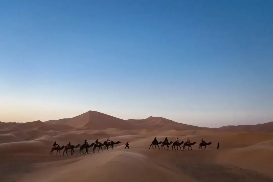 Camel caravan crossing the dunes of Erg Chebbi at sunset