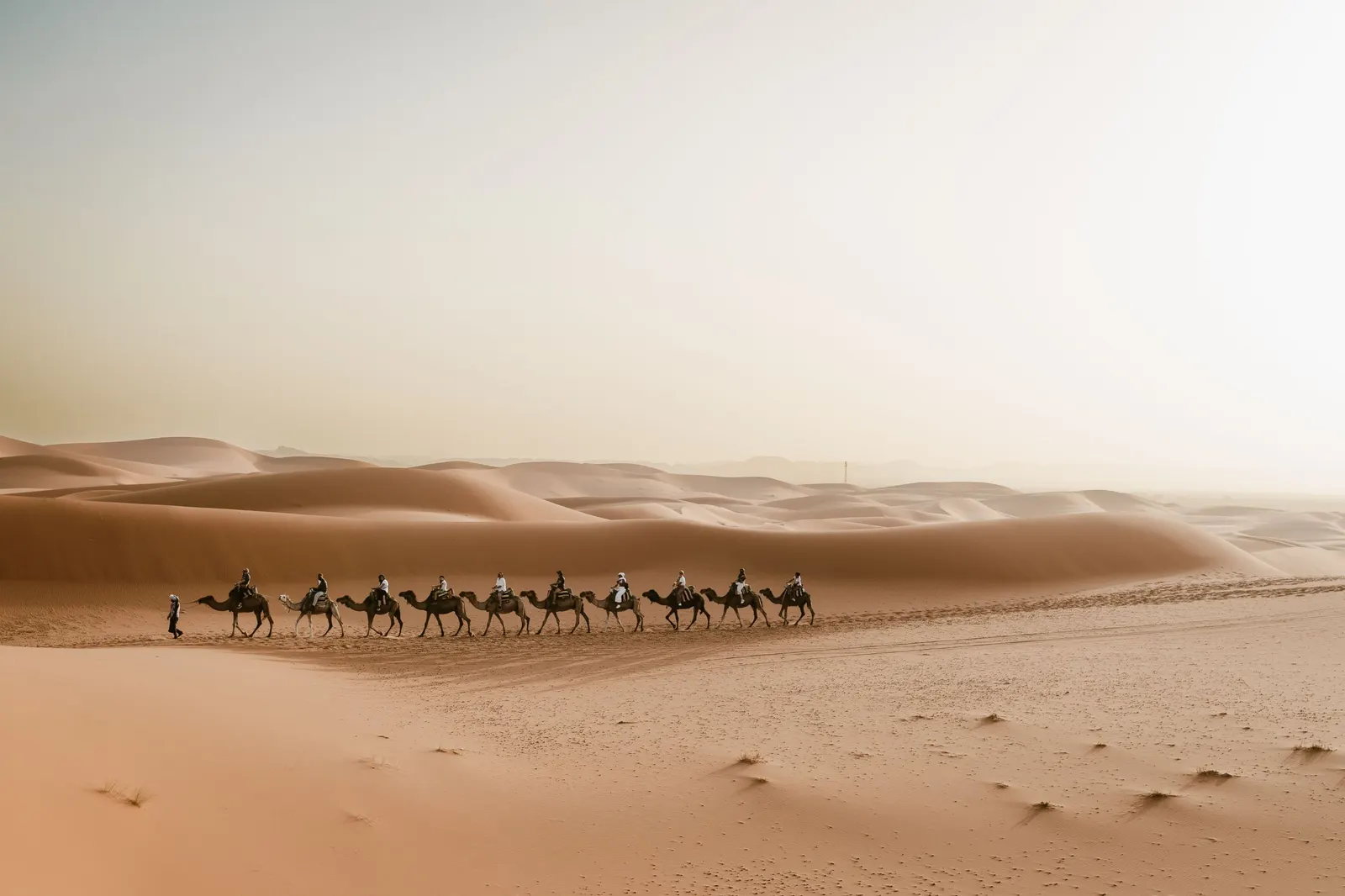 14-Day Complete Morocco Tour
