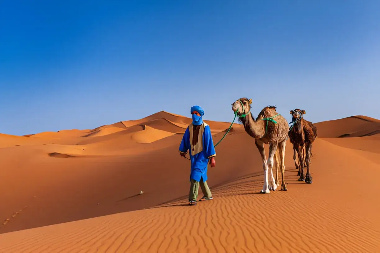 The Best Time to Visit the Sahara: A Season-by-Season Guide to Merzouga