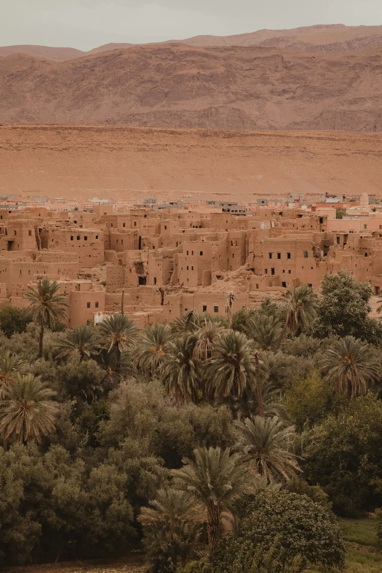 3-Day Fes to Marrakech Sahara Tour