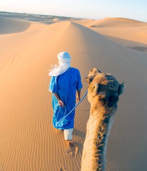 2 Nights camel trekking in Merzouga